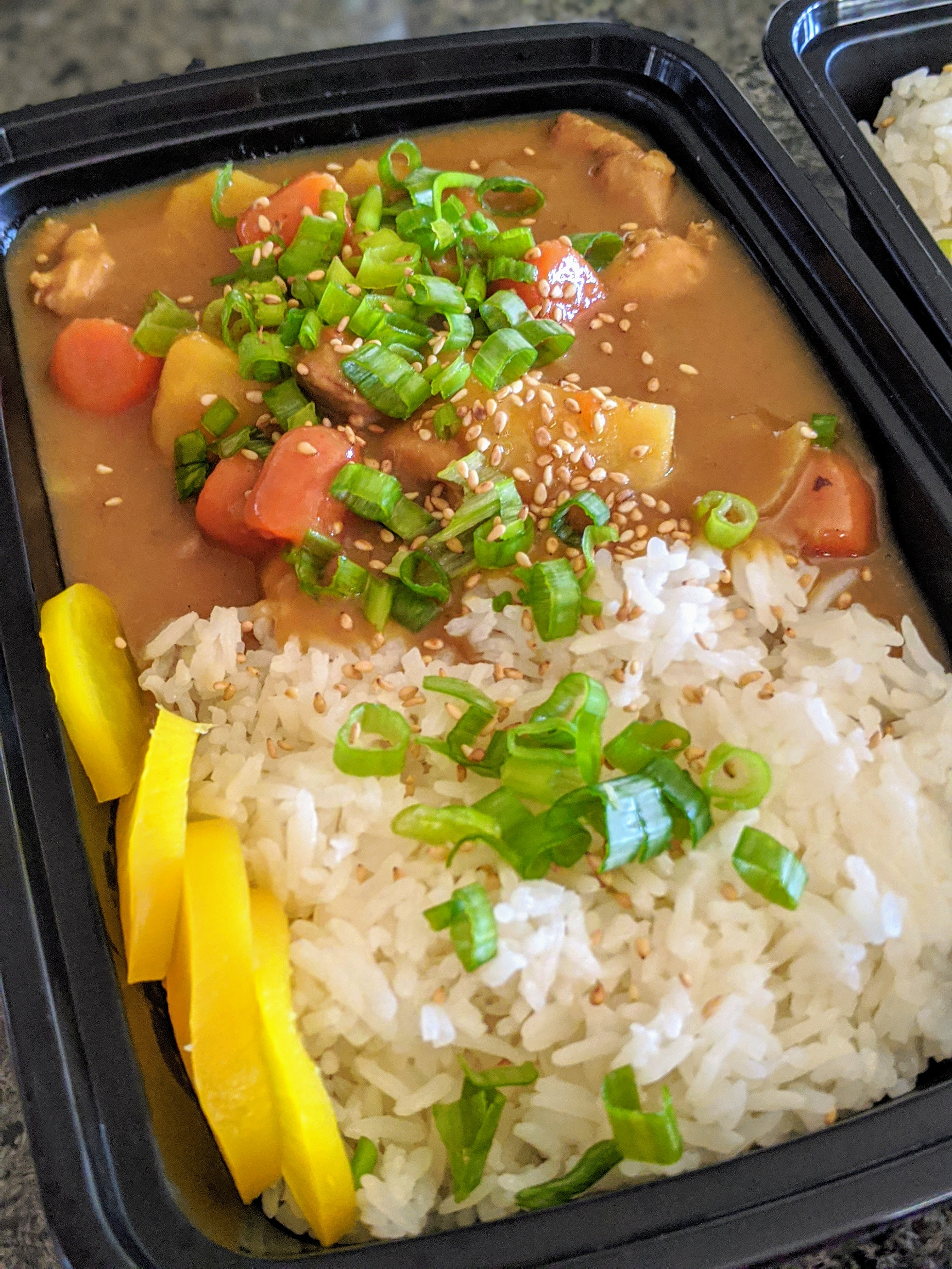 JAPANESE CHICKEN CURRY